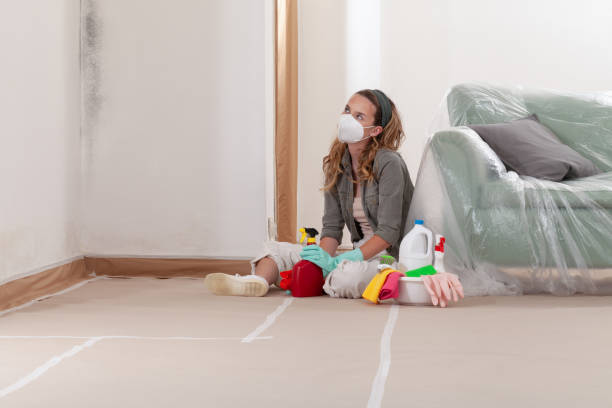 Reliable Black Mold Remediation contractor in New Providence, PA by Mold Remediation HQ